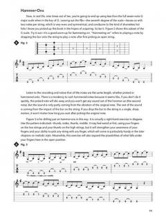 The Dobro Workbook von David Hamburger 