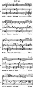 Sonaten für Klavier und Violine Band 1 und 2 von Ludwig van Beethoven im Alle Noten Shop kaufen