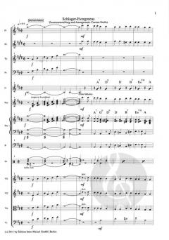 Schlager-Evergreen-Medley 1 