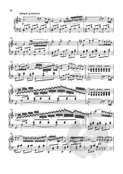 Klaviersonaten Band 2 von Ludwig van Beethoven im Alle Noten Shop kaufen - HN9034