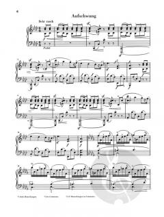 Fantasiestücke (mit Anhang: WoO 28) op. 12 von Robert Schumann 