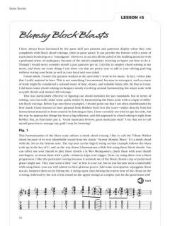 Guitar Gumbo von Greg Koch 