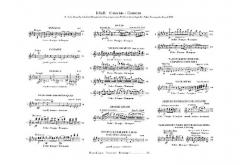 Werke für Klavier zu vier Händen Band 1 von Franz Schubert im Alle Noten Shop kaufen - HN94