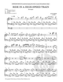 Ride in A High-Speed Train von Ad Wammes 