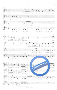 Son de Camaguey (Stephen Hatfield) 