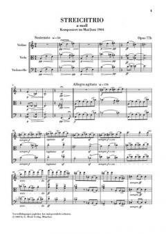 Streichtrios a-moll op. 77b und d-moll op. 141b von Max Reger im Alle Noten Shop kaufen