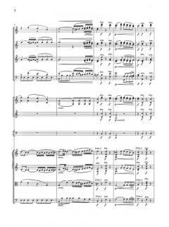 Symphonie Nr. 1 C-Dur op. 21 von Ludwig van Beethoven 