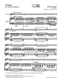 Träume von Richard Wagner 