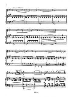 Träume von Richard Wagner 