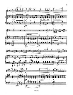 Träume von Richard Wagner 