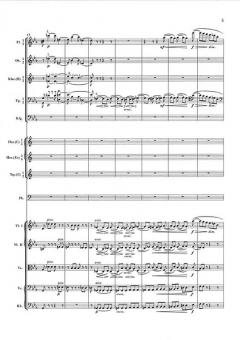 Symphonie Nr. 1 c-moll op. 68 von Johannes Brahms 