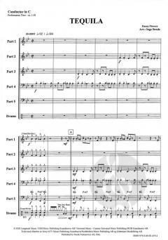 Living Next Door To Alice (Mike Chapman) 