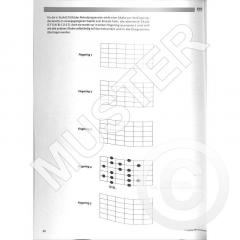 Sagmeister's Jazz Gitarre 