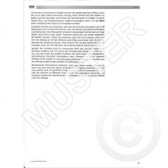 Sagmeister's Jazz Gitarre 