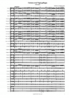 Carmen zwei Vögel geflogen (Peter Wesenauer) 