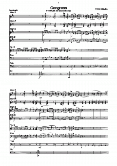 Congress von Franz Peter Cibulka 