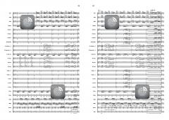 The Quest For Victory (Wilco Moerman) 