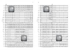 The Quest For Victory (Wilco Moerman) 