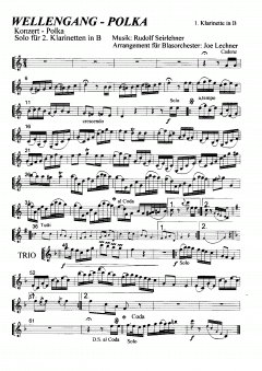 Wellengang-Polka (Rudolf Seirlehner) 