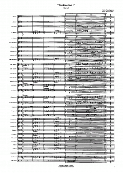 Turbine Frei (Franz Sighartner) 