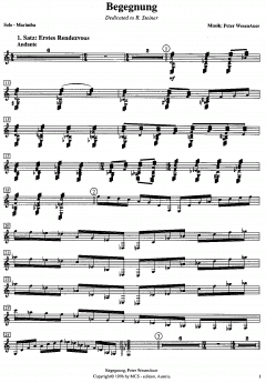 Begegnung (Meeting) (Peter Wesenauer) 