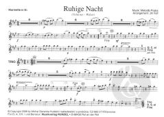 Ruhige Nacht (Metodej Prajka) 