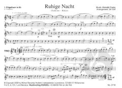 Ruhige Nacht (Metodej Prajka) 