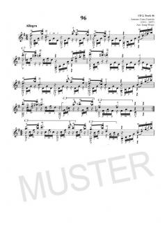 Die 100 wichtigsten Etüden für klassische Gitarre 