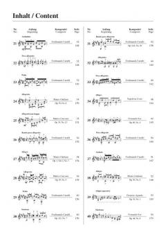 Die 100 wichtigsten Etüden für klassische Gitarre 