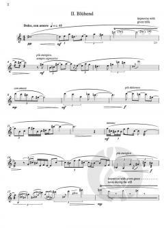 Duft for Solo Clarinet von Kaija Saariaho 