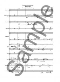 Senales von Hilda Paredes 