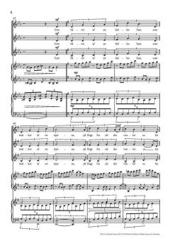 Det Flygtende Nu (Michael Bojesen) 