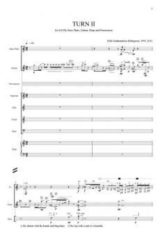 Turn II (Pelle Gudmundsen-Holmgreen) 