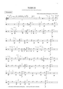 Turn II (Pelle Gudmundsen-Holmgreen) 