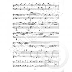 Originalkadenzen zu den Klavierkonzerten: Nr. 3 c-moll op. 37 von Ludwig van Beethoven im Alle Noten Shop kaufen
