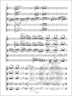 Short Developements von Mathias Rüegg 