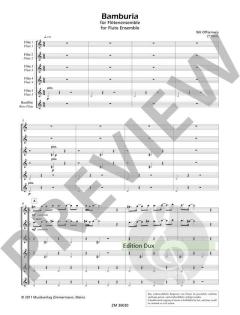 Bamburia von Wil Offermans für Flötenensemble (5 Flöten und Bassflöte (oder Flöte in C)) im Alle Noten Shop kaufen