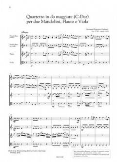 Quartetto in do maggiore (C-Dur) (Francesco G. Giuliani) 