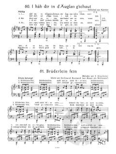 Singendes klingendes Österreich von Erwin Christian Scholz 