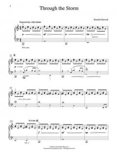 Through The Storm von Randall Hartsell 