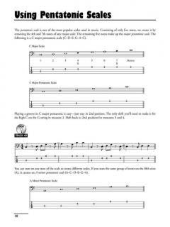 Playing The Bass Guitar (Revised Edition) (Louis Satterfield) 