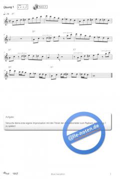 Die außergewöhnliche Schule für Blues-Saxophon von Michael Gundlach 