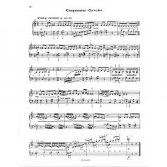 Bunte Späne von Viktor Fortin 