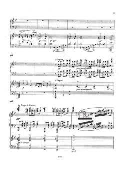 Concerto pour piano von Ludomir Rozycki für 2 Klaviere im Alle Noten Shop kaufen