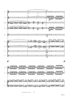 Symphony No.6 'Sinfonia Semplice' von Carl Nielsen 