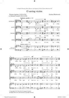 O Saving Victim von Zachary Wadsworth 