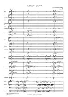 Concerto Grosso von Pelle Gudmundsen-Holmgreen 