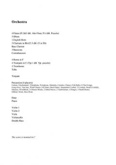 Symphony No.8 von Per Norgard 