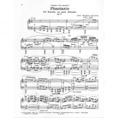 Phantasie op. 17 von Josef Matthias Hauer 