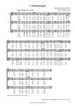 Tre Forarssange (Soeren Birch) 